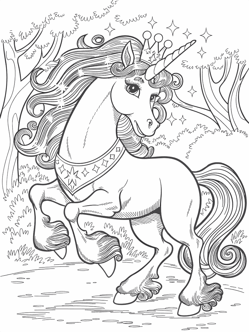 a_Royal_Unicorn_in_a_childrens